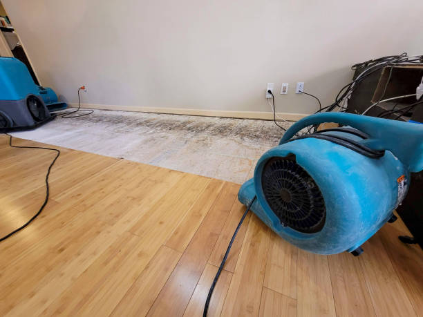 Professional Flood Damage Cleanup technician working in Paris, IL